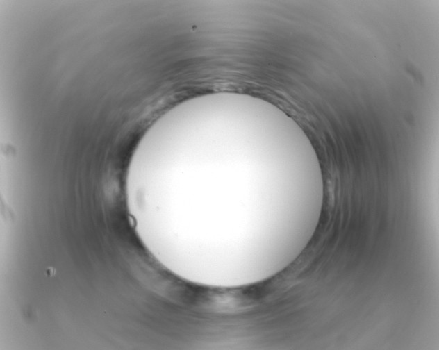 X0000091360618200708101056