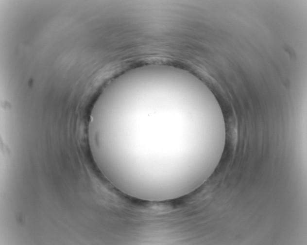 X0000091360619200708101056