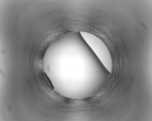 X0000091360621200708101056