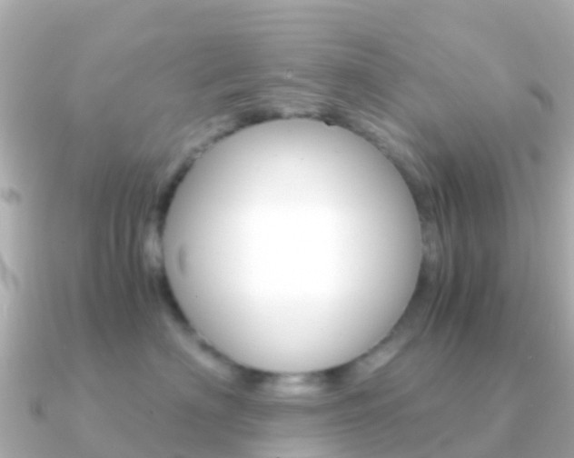 X0000091360622200708101056