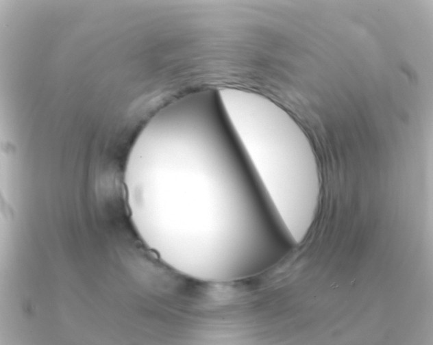 X0000091360623200708101056