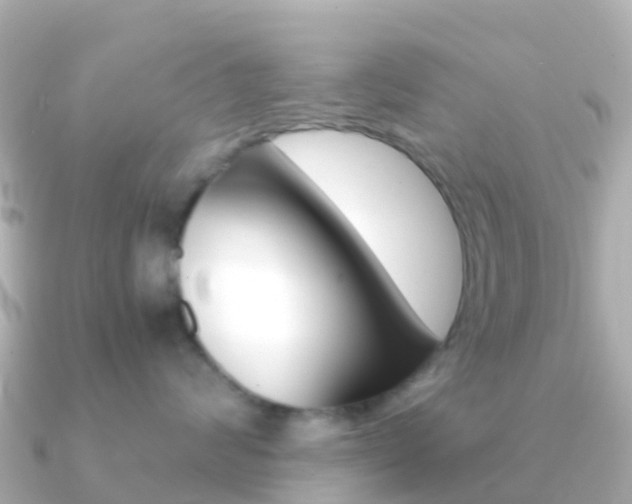 X0000091360624200708101056