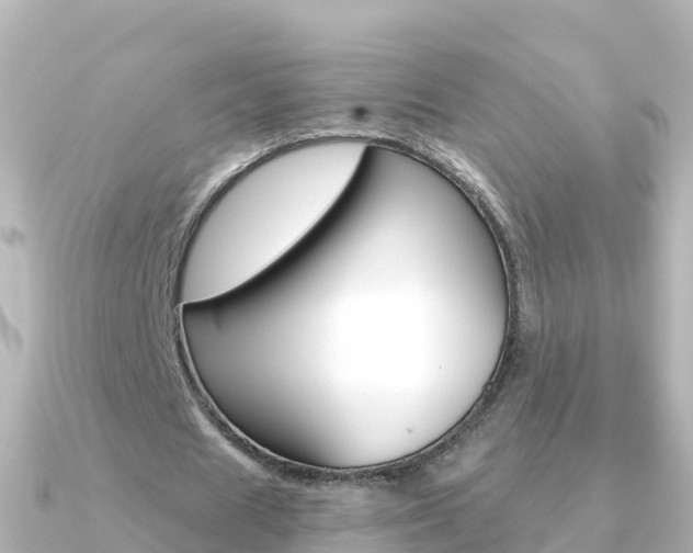 X0000091360625200708101055