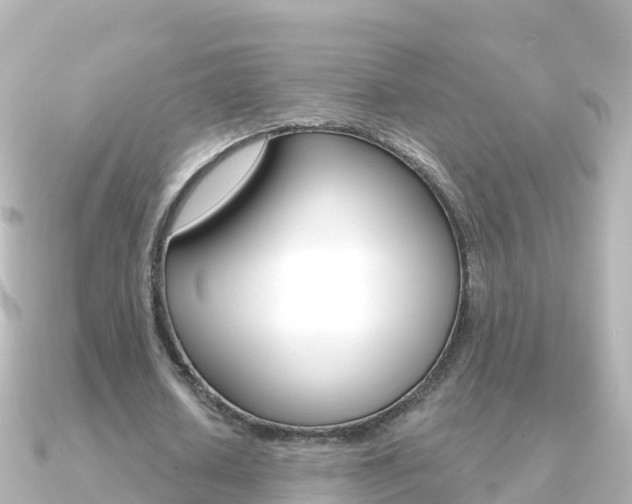 X0000091360626200708101055