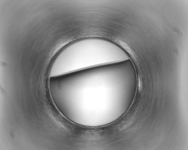 X0000091360627200708101055