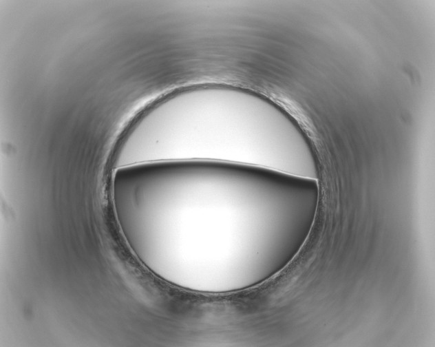 X0000091360628200708101055