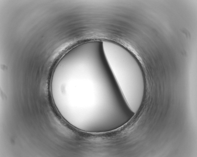 X0000091360629200708101055