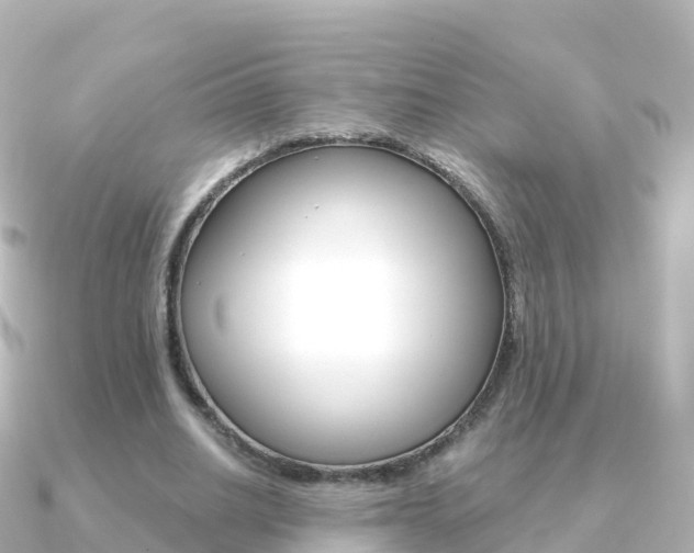 X0000091360630200708101055
