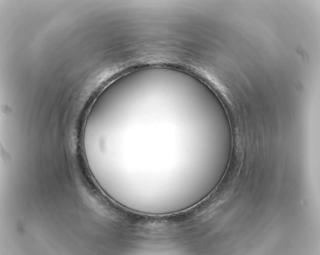X0000091360631200708101055