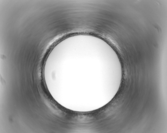 X0000091360632200708101055