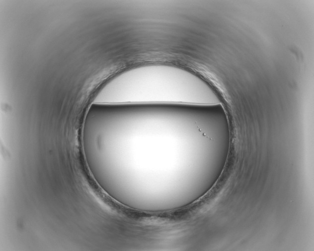 X0000091360633200708101055