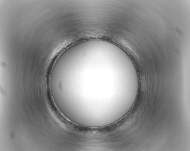 X0000091360634200708101055
