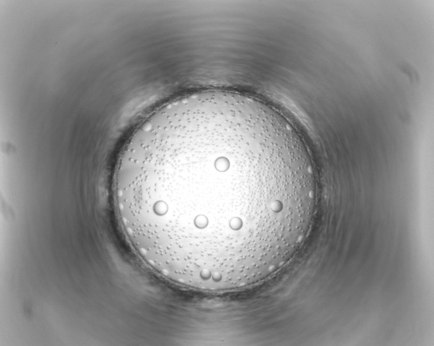 X0000091360635200708101055