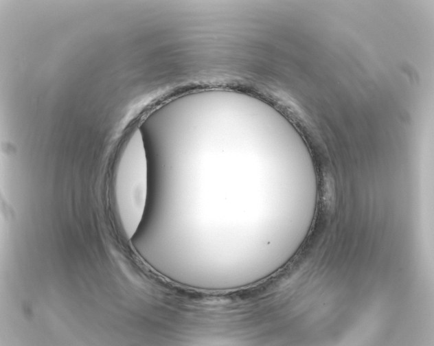 X0000091360636200708101055
