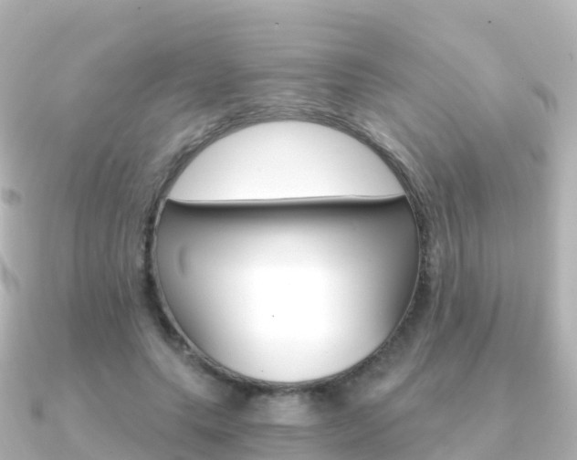 X0000091360639200708101055