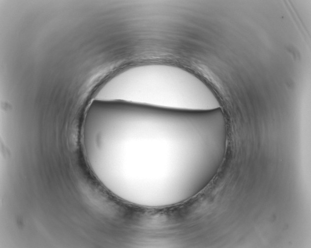 X0000091360640200708101055