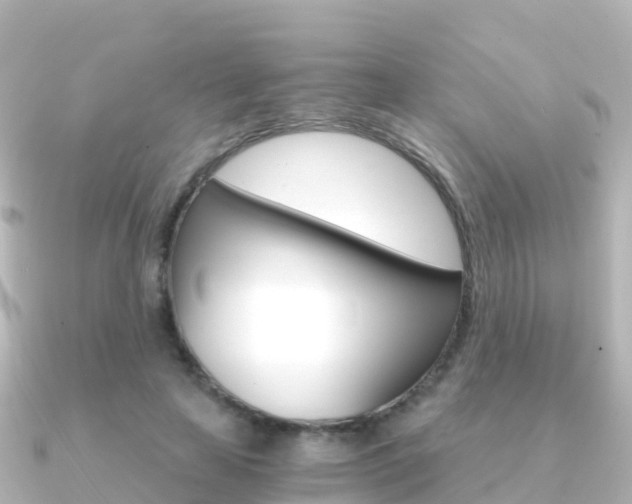 X0000091360641200708101055