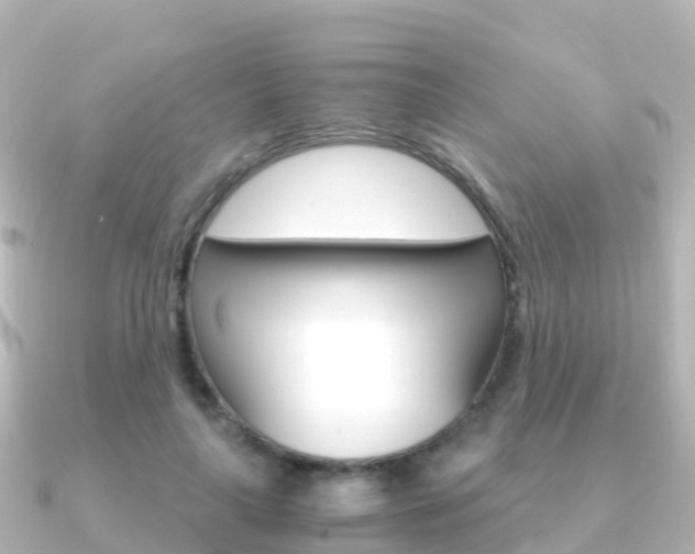X0000091360643200708101055