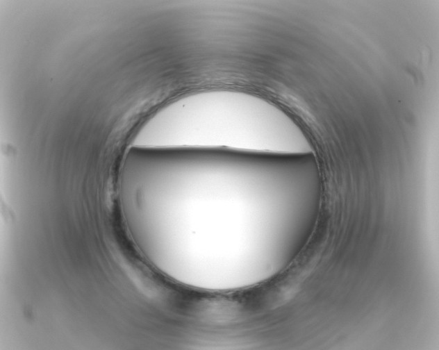 X0000091360644200708101055