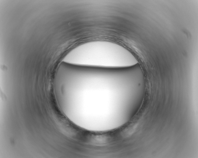 X0000091360645200708101055