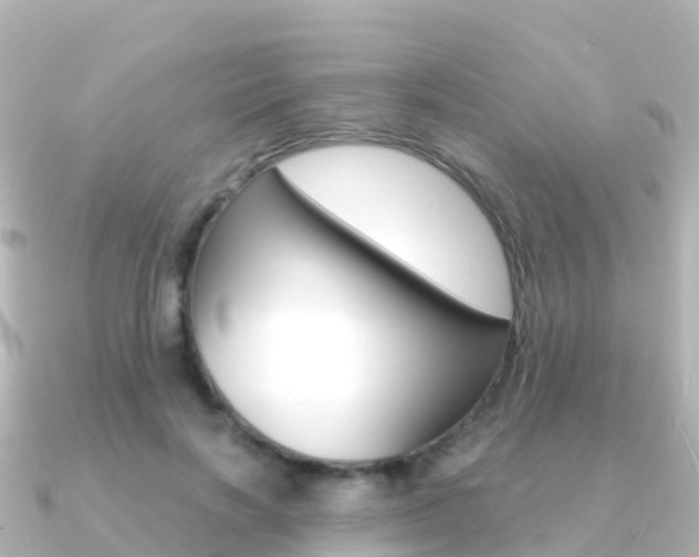 X0000091360646200708101055