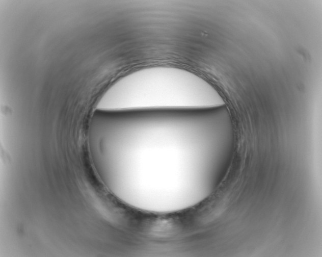 X0000091360647200708101055