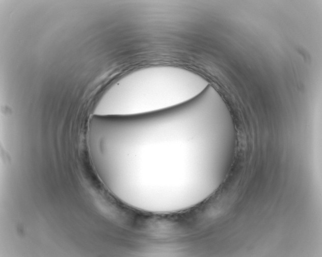 X0000091360648200708101055