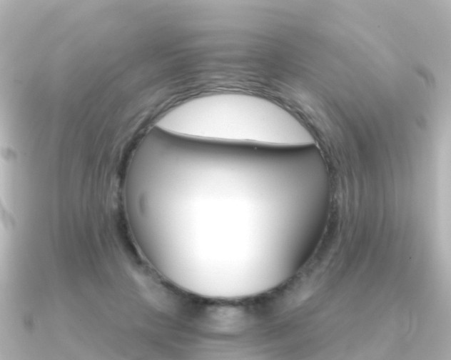 X0000091360649200708101055