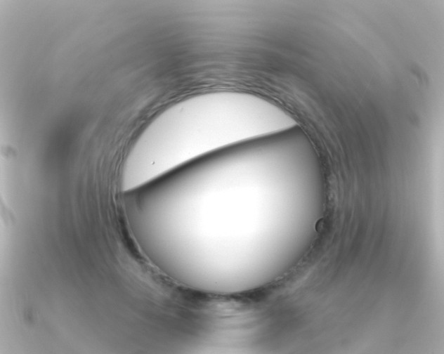 X0000091360650200708101055