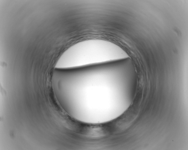 X0000091360651200708101055