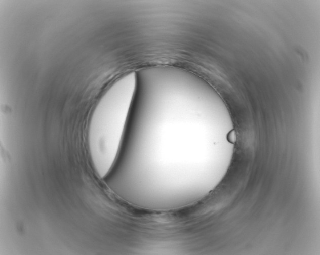 X0000091360652200708101055
