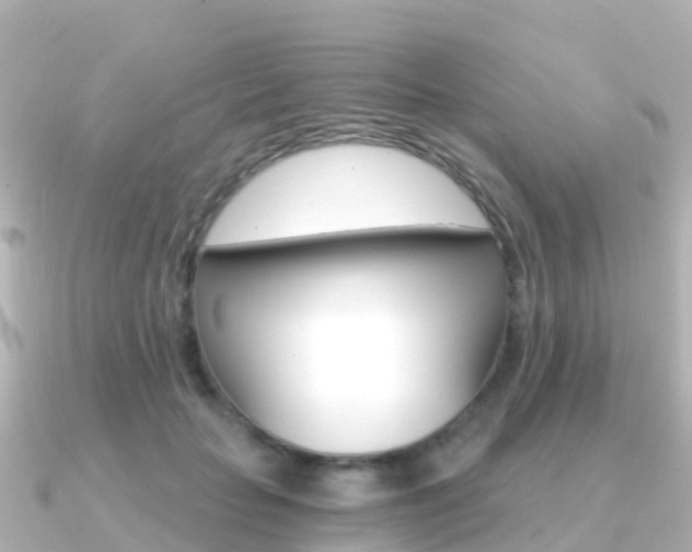 X0000091360653200708101055