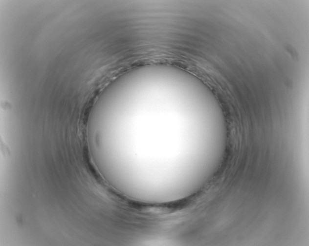 X0000091360654200708101055