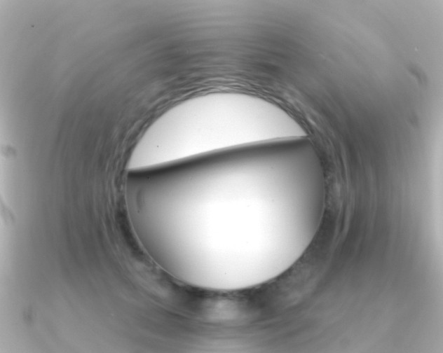 X0000091360655200708101055