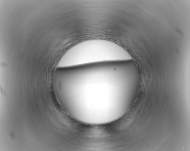 X0000091360656200708101055