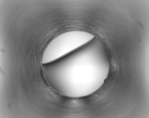 X0000091360657200708101055