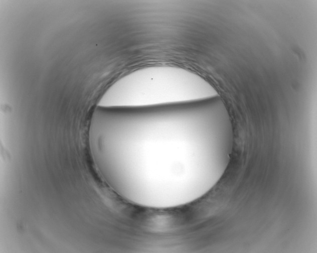 X0000091360658200708101055