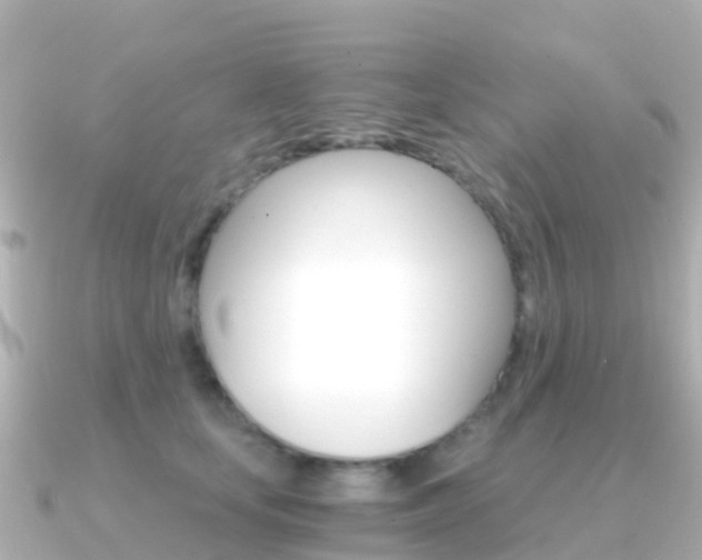 X0000091360659200708101055