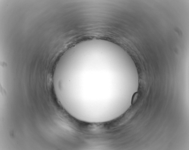 X0000091360660200708101055