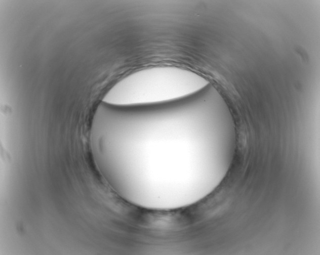 X0000091360661200708101055