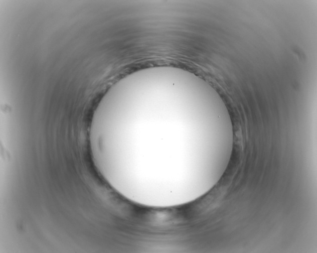 X0000091360662200708101055
