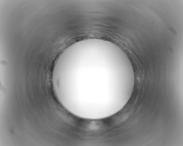 X0000091360663200708101055
