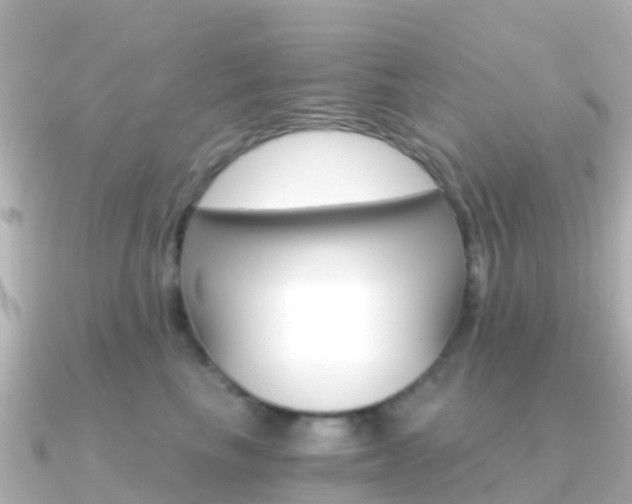 X0000091360665200708101055
