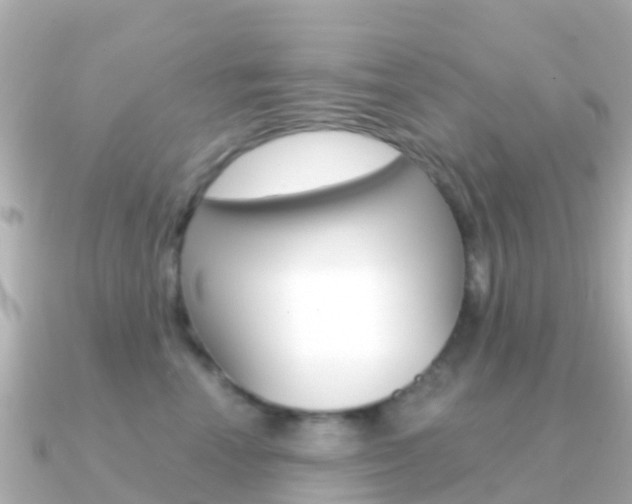 X0000091360666200708101055