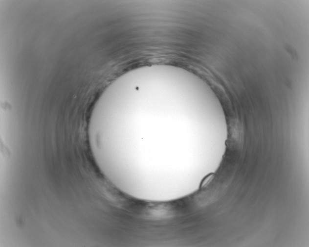 X0000091360667200708101056