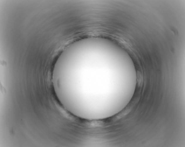 X0000091360670200708101056