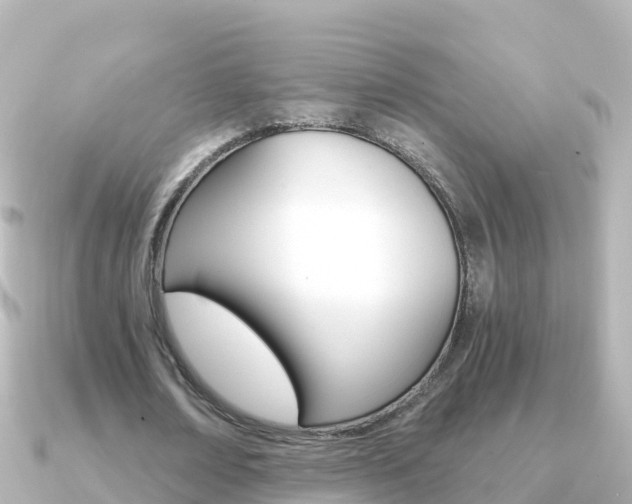 X0000091360674200708101055