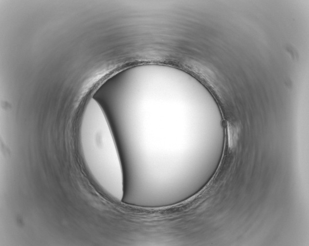 X0000091360675200708101055