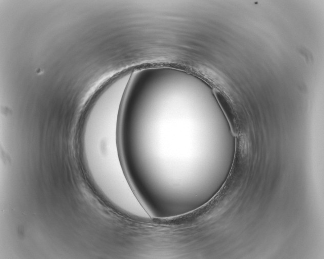 X0000091360676200708101055