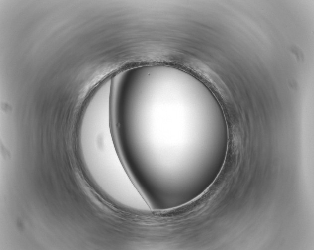X0000091360677200708101055
